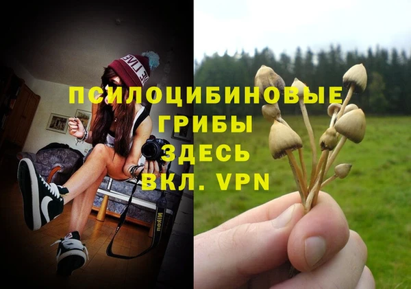 прущая мука Белоозёрский