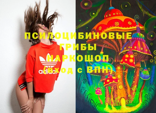 синтетический гашиш Белокуриха