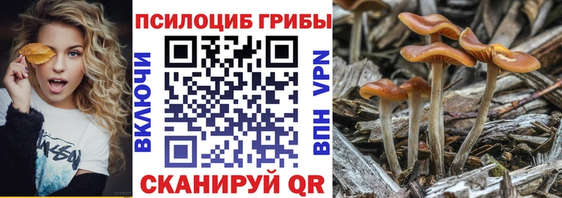 Псилоцибиновые грибы мицелий  Вяземский 